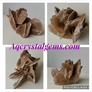 Desert Rose Specimen
