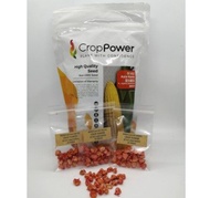 [REPACK] Benih Jagung Manis Crop Power SS 932 30 Seeds
