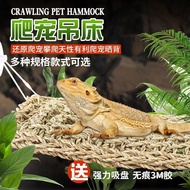 Gecko landskap reptilia landskap biawak reptilia bersembunyi rumah maned dragon biawak reptilia buai