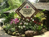 Orchid Garden cheap ticket discount promotion Singapore Zoo Bird Park bird paradise garden by the ba