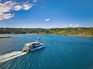 Tiritiri Matangi Island Ferry Tickets from Auckland