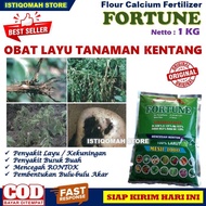 Pupuk Kalsium FORTUNE 1 KG Obat atasi Layu Daun Tanaman Kentang Paling Ampuh Pupuk Manjur untuk Meng