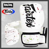 FAIRTEX PAINTER BGV14PT BOXING GLOVES