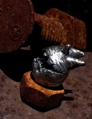 塊根魔獸/銀公仔  Caudex monster