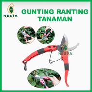 Plant Scissors, Twigs, Bent Branches, Pruning Plants