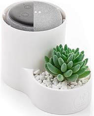 HAUS BRIGHT Echo Dot Holder | Google Mini Stand | 2nd/3rd Generation | Smart Accessories Cover Case | Clear Speaker, Mic, Lighting | Multi-Functional Planter, Money, Keys, Candy, Ring Dish