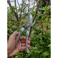 Pruning Shears Gardening Shears Strong Garden Shears Fruit Tree Pruning Stainless Steel