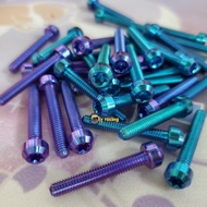 (GR5) 4LI 25MM SCREW SMOOTH THREAD HEAD GR5 TITAN