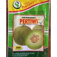 New Benih Bibit Melon Pertiwi Anvi Terlaris