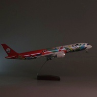 Similar style like a Chinese captain aircraft model Airplane A319 Tu Xuy Aviation Company