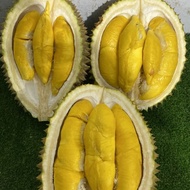 BUAH DURIAN MUSANG KING ASLI MALAYSIA SUPER JUMBO UTUH