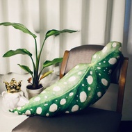 BOTANIST 雙絨面舒適超彈抱枕  星點海棠