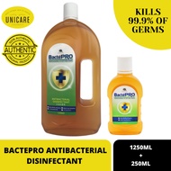 BACTEPRO ANTIBACTERIAL DISINFECTANT (1250ML + 250ML)