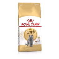 Royal Canin British Short Hair (Repack 500g and 1kg)