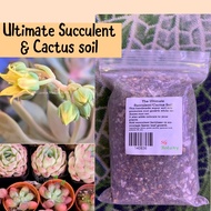 🌳In Stock🌳Ultimate Succulent and Cactus Soil. Succulent soil