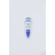 50bp DNA Ladder, 500uL