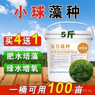 Chlorella Algae Seeds Concentrated Algae Seeds Compound Algae Seeds Fertilizer Hydroponic Algae Oxyg