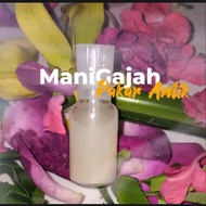 Minyak parfume mani gajah Aura Pengasihan merindu menempel menangis