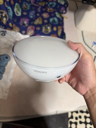 Philips Hue go 燈