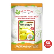Benih buah timun suri - bibit benih timun suri lokal