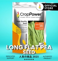 (500 GRAM) Biji Benih Kacang Pis Leper Belanda Hola Delight 绿精灵 FP100 CROP POWER Long Flat Pea Seed 