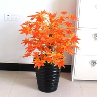 Supermarket Simulation Maple Fake Tree Entrance Layout Leaf Living Room Decoration Landscaping Plant