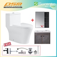 SORENTO Bathroom One Piece Design Toilet Bowl WC Bathroom Stainless Steel Cabinet Package SRTWC8317-