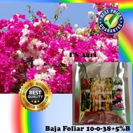 28g Baja Foliar 10-0-38+5%B+Chelated TE