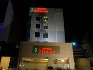 派力肯飯店 (The Pelican Hotel)