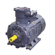 High Quality ac motor 220v Asynchronous Electric Three Phase Induction Motor Explosion Proof AC Moto