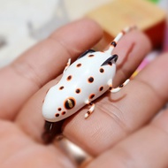 Soft Frog Gecko - Lizard - Lizard 3.8 cm