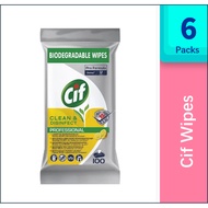 Cif Wipes/  Biodegradable Wipes Professional Pro Clean 100pcs Germany