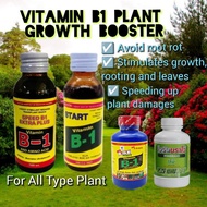 B1 FERTILIZER ORIGINAL THAILAND VITAMIN B1 Multi Extra Start with Amino Acid 100ml