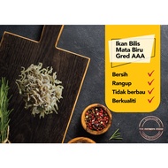 IKAN BILIS MATA BIRU