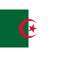 Algeria National Flag TC Mirror Material (crews back)