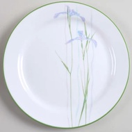 Shadow Iris Vintages Plates 7.25" With Green Line Edge Pattern Corelle 7.25" Salad Plates in the SHA