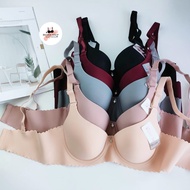 Shirt In sister hood 1977 C Cup Large Size Bubble Thin With Borderless Work Frame (Chest 36-38-40-42