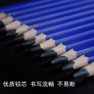 Selde Hall Pencil Sketch Painting Pencil HB-8B 12B Pencil Sketch Pencil 12pcs/Box Painting Pencil