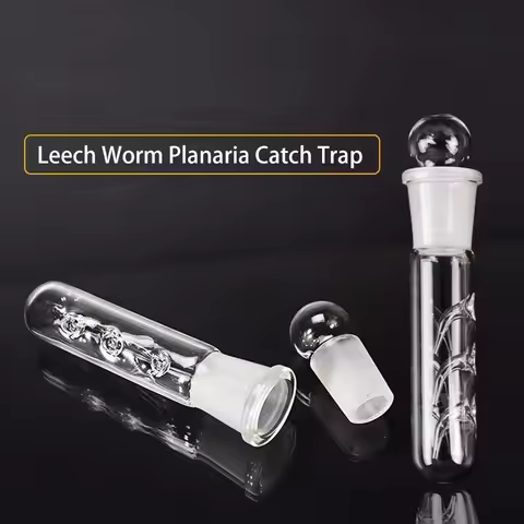 Glass Acrylic Snail Leech Vivarium Pest Catch Trap Shrimp Worm Planaria Catcher Fish Tank Aquarium A