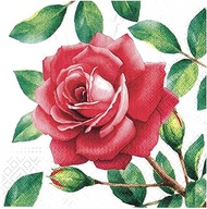 AM Décor - 20 Count Soft 3-Ply Tissue Decoupage Luncheon Paper Napkins -13" x 13" (Unfolded) Special