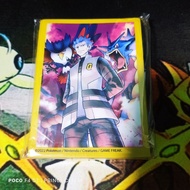 Pokemon Accessories - Cyrus Sleeves