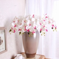 $$ Orchid Anggrek Bulan 7 Kuntum AF68 Bunga Hias Dekorasi Rumah