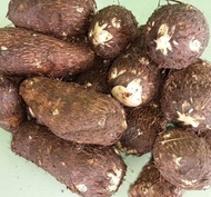 Ubi Cilembu madu manis legit. 1KG mentah segar/ubi Cilembu//Talas blitung/Spex A B. pekingan aman