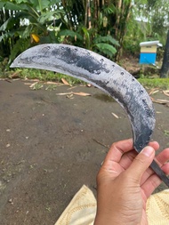 Arit Deres Sadap Kelapa Superan