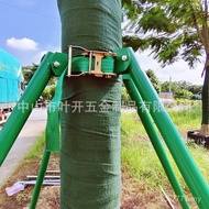 Tree Tree Tree Support Rod Support Garden Strap Bracket Supplies Support Frame Holder Tree Steel Pip