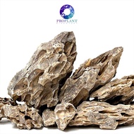 Premium Ohko Rock 🔥 Dragon Stone - Aquarium / Paludarium / Vivarium / Terrarium / Aquascape / Betta 