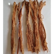 AKAR SINTOK (10 IKAT) AKAR BERLURU AKAR SINTOK MURAH AKAR SINTOK ASLI AKAR UBAT MEMBERSIHKAN KULI T 