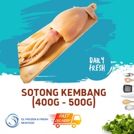 Fresh Wild Caught Halal Brown Squid / Sotong Kembang (400g - 500g) | Frozen Seafood | Frozen Food | 