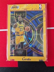 LeBron James Select card