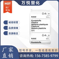 PA6 Germany BA6 B3EG6/B3EG3/B3WG6/B3S Nylon Glass Fiber Enhanced Plastic Raw Material Particles